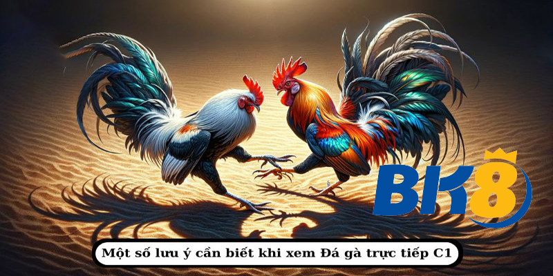 Đá Gà BK8 - Cuộc Chiến Khốc Liệt Của Những Chiến Kê Tài Ba!